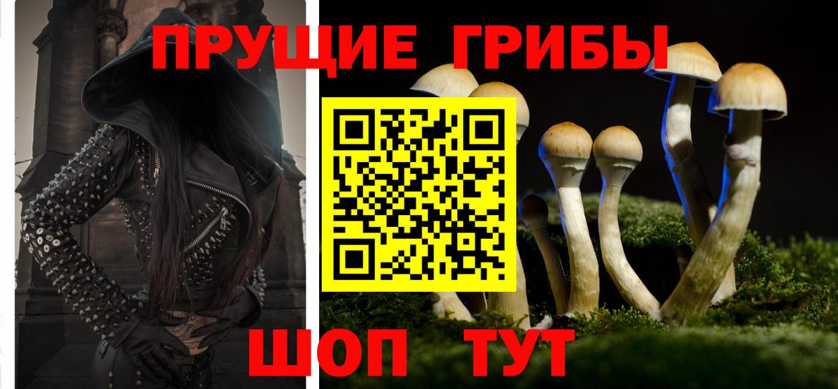 Галлюциногенные грибы мухоморы  Вход с VPN  Галлюциногенные грибы мухоморы  Южноуральск 